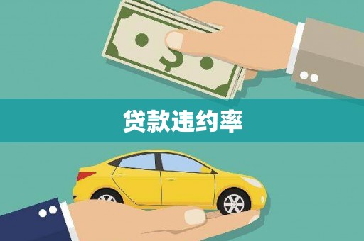 望谟贷款违约率