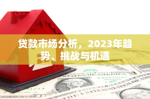 望谟贷款市场分析，2023年趋势、挑战与机遇