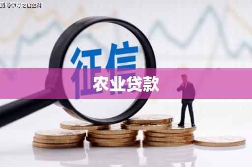 望谟农业贷款