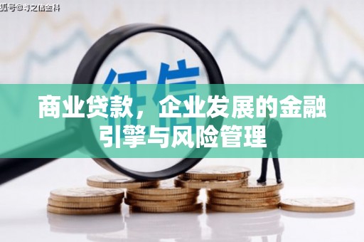 望谟商业贷款，企业发展的金融引擎与风险管理