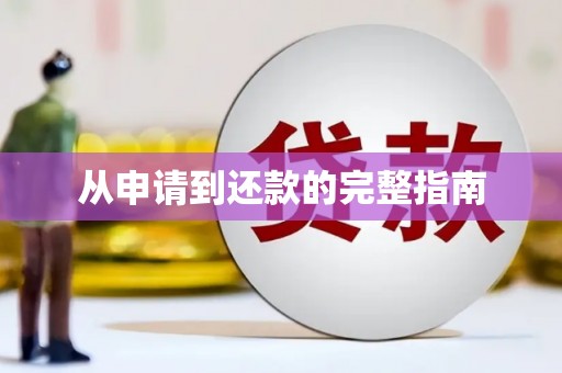 望谟从申请到还款的完整指南
