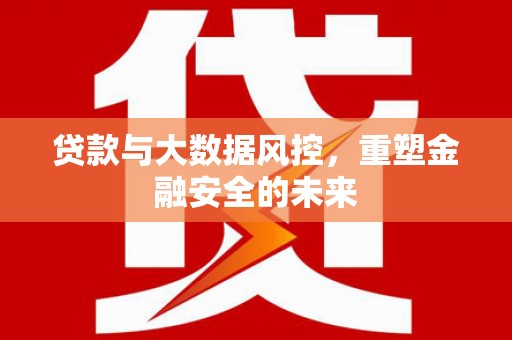 望谟贷款与大数据风控，重塑金融安全的未来