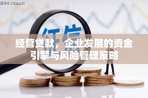 望谟经营贷款，企业发展的资金引擎与风险管理策略
