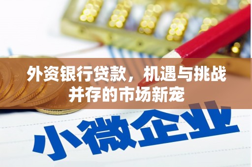 望谟外资银行贷款，机遇与挑战并存的市场新宠