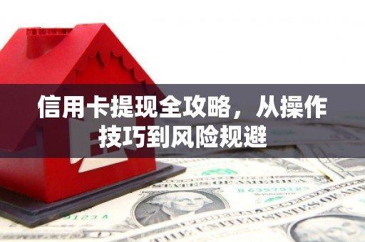 望谟信用卡提现全攻略，从操作技巧到风险规避