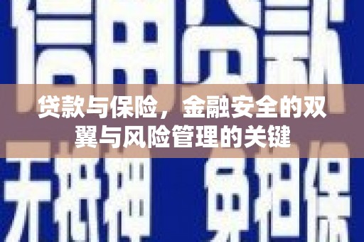望谟贷款与保险，金融安全的双翼与风险管理的关键