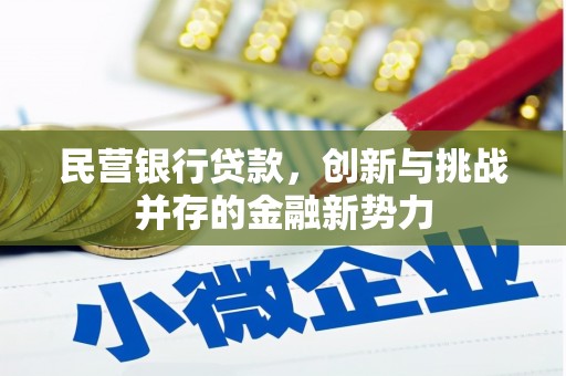 望谟民营银行贷款，创新与挑战并存的金融新势力