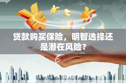 望谟贷款购买保险，明智选择还是潜在风险？