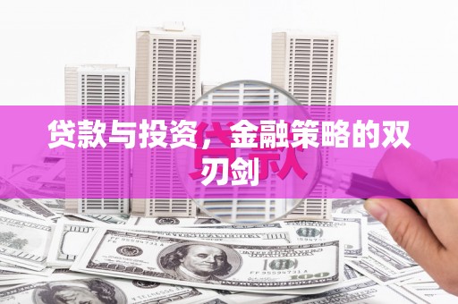 望谟贷款与投资，金融策略的双刃剑
