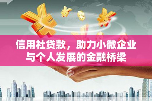 望谟信用社贷款，助力小微企业与个人发展的金融桥梁