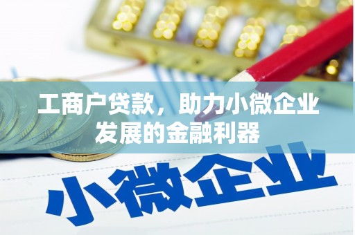 望谟工商户贷款，助力小微企业发展的金融利器