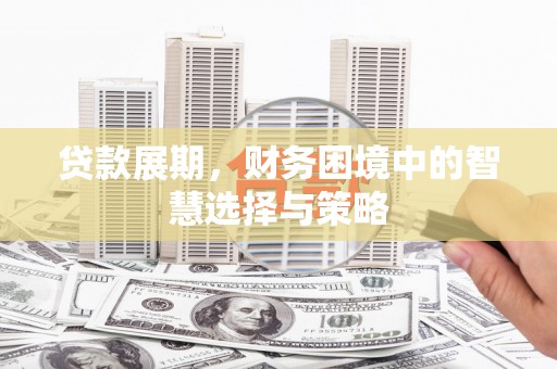 望谟贷款展期，财务困境中的智慧选择与策略