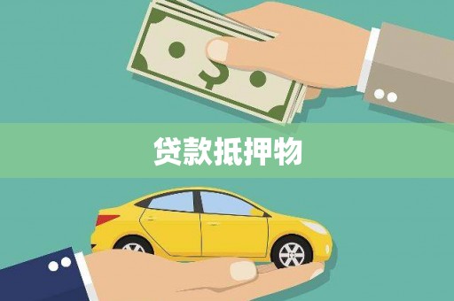望谟贷款抵押物