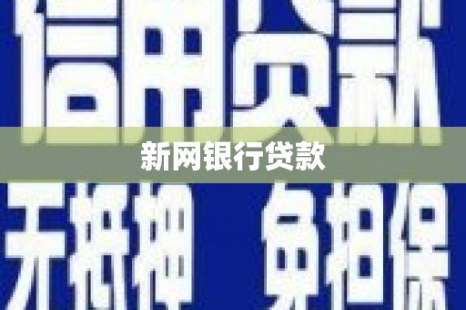 望谟新网银行贷款