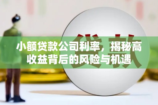望谟小额贷款公司利率，揭秘高收益背后的风险与机遇