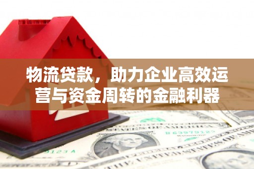 望谟物流贷款，助力企业高效运营与资金周转的金融利器