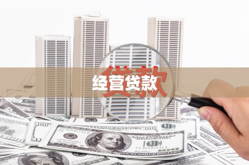望谟经营贷款