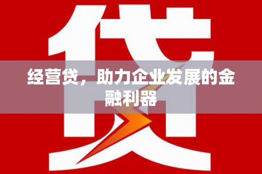 望谟经营贷，助力企业发展的金融利器