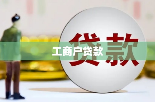 望谟工商户贷款