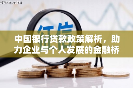 望谟中国银行贷款政策解析，助力企业与个人发展的金融桥梁