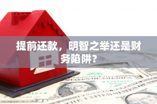 望谟提前还款，明智之举还是财务陷阱？