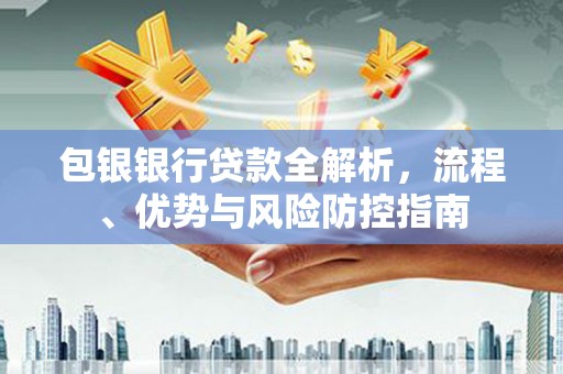 望谟包银银行贷款全解析，流程、优势与风险防控指南