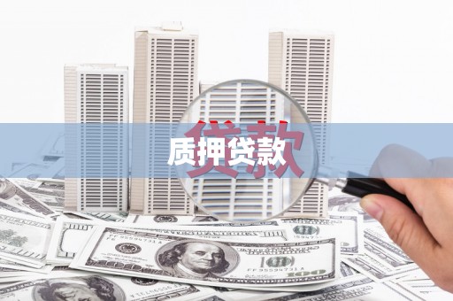 望谟质押贷款