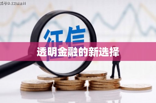 望谟透明金融的新选择