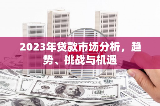 望谟2023年贷款市场分析，趋势、挑战与机遇