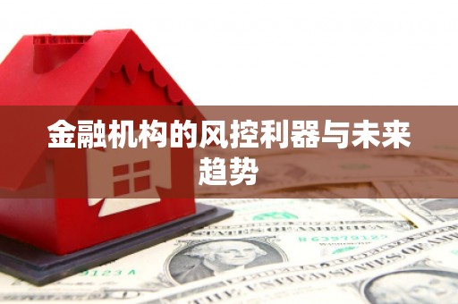望谟金融机构的风控利器与未来趋势