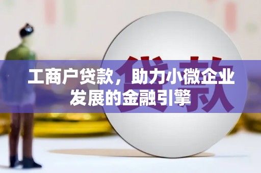 望谟工商户贷款，助力小微企业发展的金融引擎