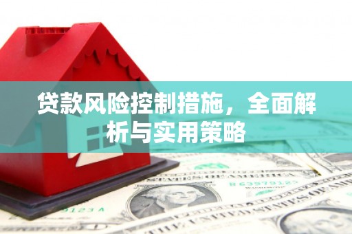 望谟贷款风险控制措施，全面解析与实用策略