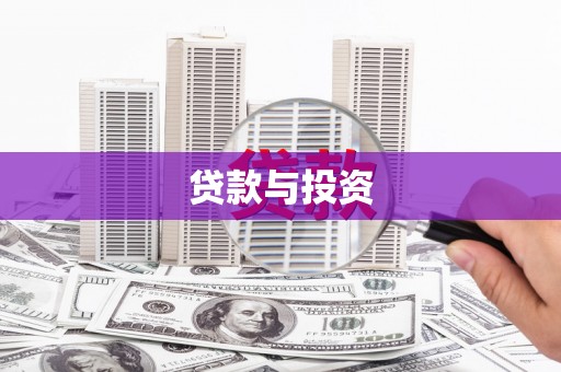 望谟贷款与投资
