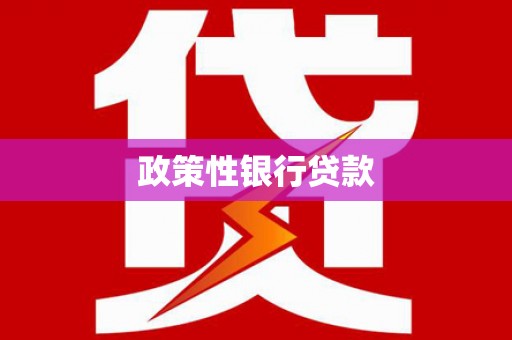 望谟政策性银行贷款