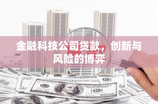望谟金融科技公司贷款，创新与风险的博弈