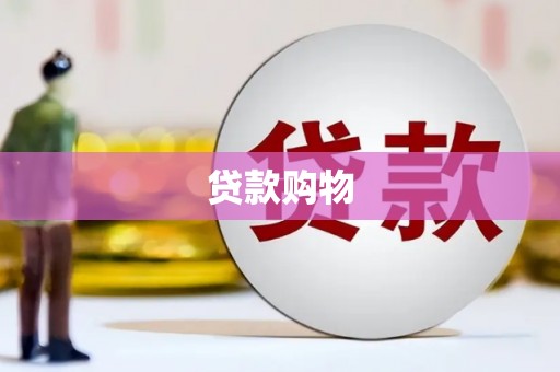望谟贷款购物