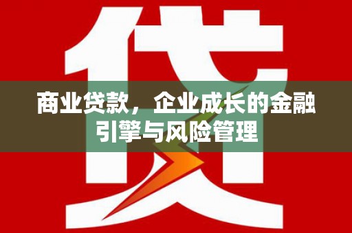 望谟商业贷款，企业成长的金融引擎与风险管理