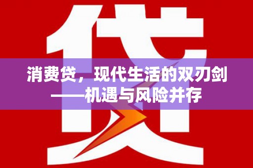 望谟消费贷，现代生活的双刃剑——机遇与风险并存