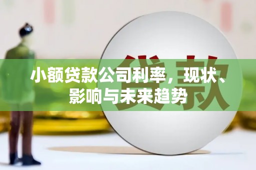 望谟小额贷款公司利率，现状、影响与未来趋势