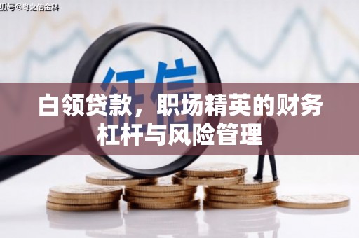 望谟白领贷款，职场精英的财务杠杆与风险管理