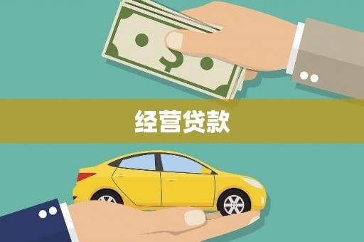 望谟经营贷款