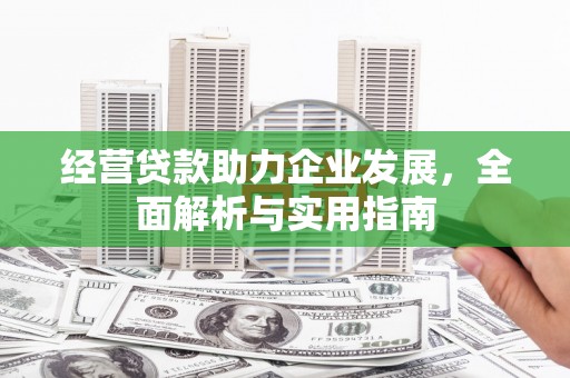 望谟经营贷款助力企业发展，全面解析与实用指南
