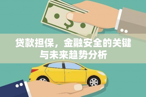 望谟贷款担保，金融安全的关键与未来趋势分析