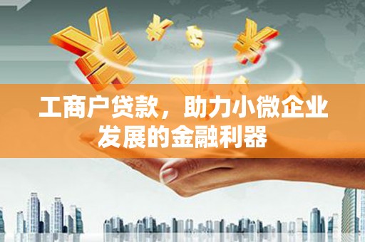 望谟工商户贷款，助力小微企业发展的金融利器