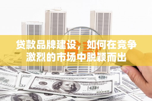 望谟贷款品牌建设，如何在竞争激烈的市场中脱颖而出