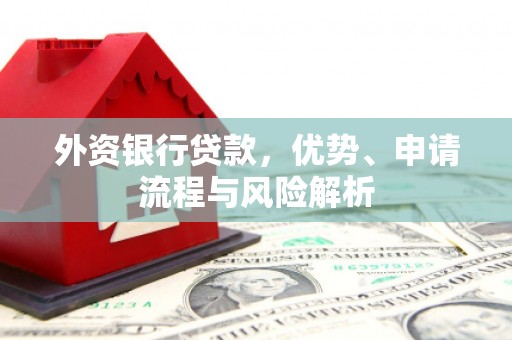 望谟外资银行贷款，优势、申请流程与风险解析