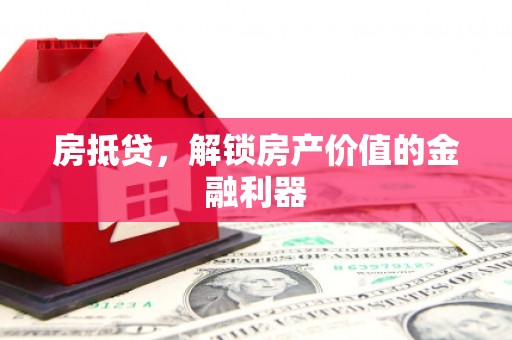 望谟房抵贷，解锁房产价值的金融利器