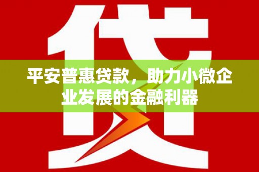 望谟平安普惠贷款，助力小微企业发展的金融利器