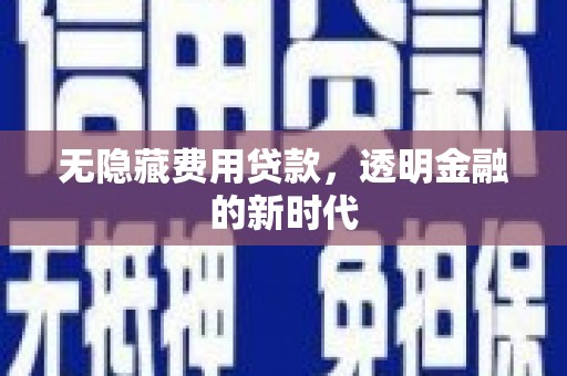 望谟无隐藏费用贷款，透明金融的新时代