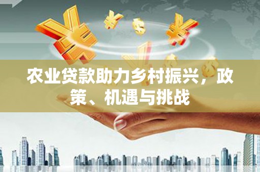 望谟农业贷款助力乡村振兴，政策、机遇与挑战